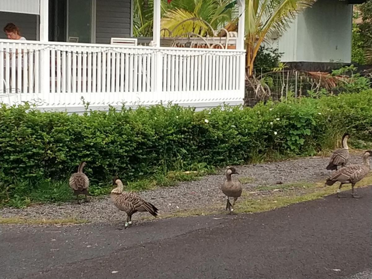 Ocean Breeze Inn Keaau Extérieur photo